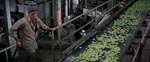 Soylent Green
