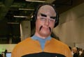 En ægte Klingon