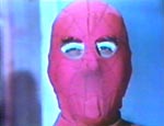 Spider - bemærk de flotte øjenbryn.