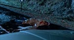 Et styk død blaffer i 'The Hitchhiker'.
