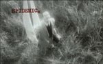 Et klip fra ”filmen-i-filmen” – her Dr. Mesmer (Lars von Trier), der ankommer uden for den pestramte by