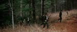 Lokale idioter begynder at jage bjørnen.