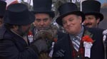 Højtidelighederne på Groundhog Day - her kommer den lille gnaver frem i lyset.
