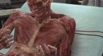 Caine (Kevin Bacon) forsvinder et lag af gangen.