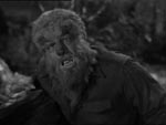 The Wolf Man (Lon Chaney Jr.).