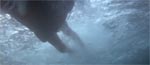 Shark-o-vision.