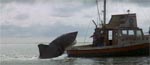 Fisken giver ikke op uden kamp!