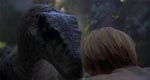 Raptor showdown.