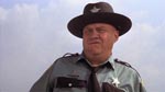 Sydstatssheriffen J.W. Pepper (Clifton James).