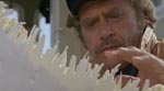 Den gamle søulk Ron Hamer (Vic Morrow) som taget direkte ud af 'Jaws'