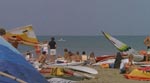 En typisk strandscene, igen som taget ud af 'Jaws'