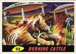 Kortet 'Burning Cattle' fra de originale samlekort