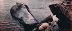 Filmen åbner med nogle stemningsfulde gamle filmoptagelser Filmen åbner med nogle stemningsfulde gamle filmoptagelser.