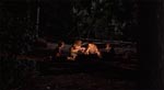 Hygge om lejrbålet.