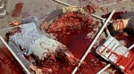 Lidt Verhoeven-splat - her har været 'bugs' på spil.