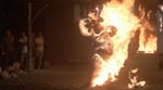 Cropsy er fyr og flamme Cropsy er fyr og flamme.