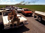 Larry Underwood (Adam Storke) tager sig lige en slapper og spiller Dylans 'Eve of Destruction', mens Des Moines brænder i baggrunden.