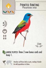 En Painted Bunting - et eksempel på et af de fuglekort, hvis funktion træder i kraft i det øjeblik, kortet spilles.