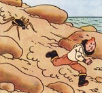 Den pludseligt meget store edderkop jagter Tintin - bemærk dog hvorledes Hergé har ladet edderkoppen se forholdsvist harmløs ud ved at give den et par 'skøre' øjne